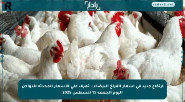 ارتفاع جديد في أسعار الفراخ البيضاء.. تعرف على الأسعار المحدثة للدواجن اليوم الجمعة 15 أغسطس 2025